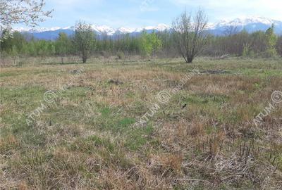 Teren intravilan 2700 mp pe Valea Avrigului localitate Avrig - 10