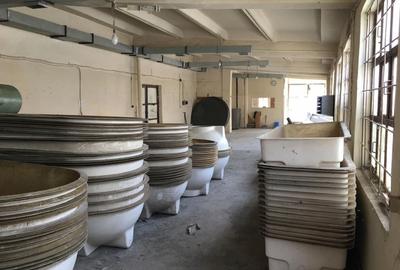 Spațiu industrial, de 277 mp, în Vest - 7