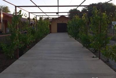 Casă cu 3 camere cu Teren 300 Mp în Horia - 15