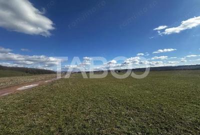 Teren de 2200 mp, în Turnișor