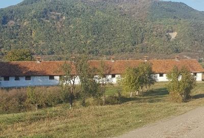 Teren Construcții intravilan de 500 mp, în Cislău - 3