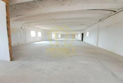 Hala de depozitare sau productie | Șagului | Steaua - 1