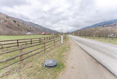 Teren intravilan, 6.900 mp, construibil - Plaiul Foii, Zarnesti - 6