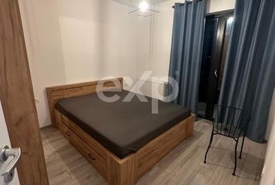 Apartament cu 2 camere decomandat, mobilat în Trivale - 10