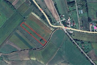 Teren agricol extravilan de 5728 mp, în Mociu