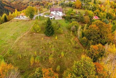 Film! Teren in peisaj mirific, Parcul Natural Piatra Craiului, Moieciu, Magura, - 9