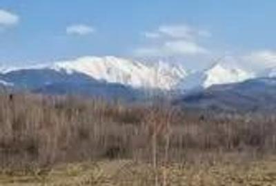 Teren de 2500 mp, în Porumbacu de Sus - 2
