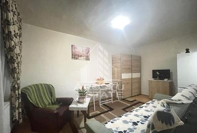 Garsoniera CF 1 Zona Micalaca - 4