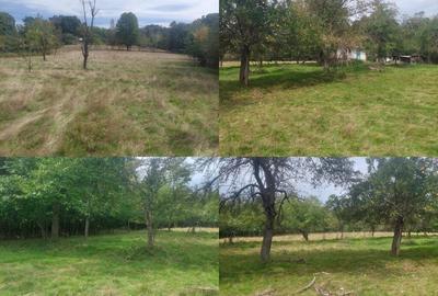 Teren 15826 mp + padure 1 ha - 5