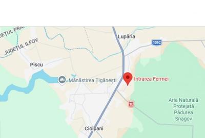 Teren Construcții extravilan de 7000 mp, în Izvorani - 1