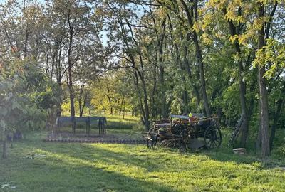 Casă cu 5 camere în Lugojel - 3