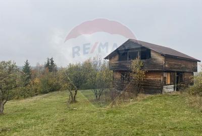 Teren Construcții intravilan de 8119 mp, în Călățele - 8