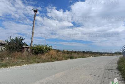 DE INCHIRIAT TEREN 5000,MIDIA PORT - 4