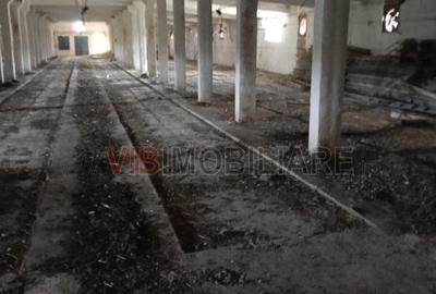 Depozit și hală industrială de vânzare – Orțișoara, complex industrial Avicola - 14