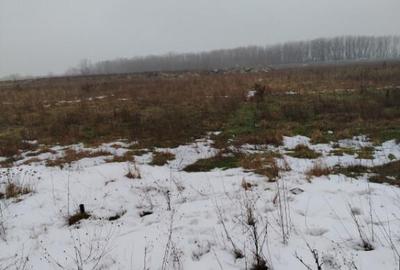 Teren 1000 mp, Carcea, front 11,57m - 3