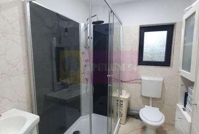 Vila P+1+M ~200mp zona Metrou Brancoveanu și Parc Tineretului - 9