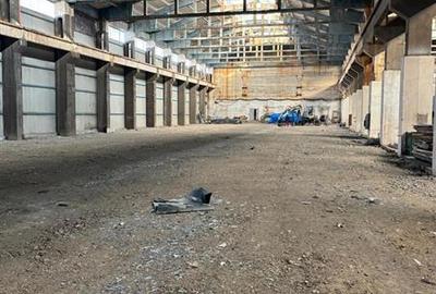 Spațiu industrial, de 17,500 mp, în Zona Liberă - 6