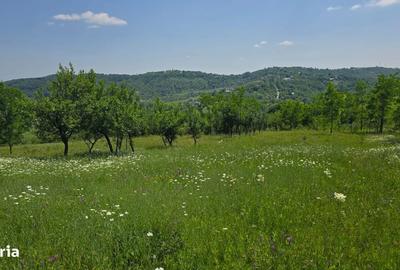 Teren de 6352 mp, în Păcureți - 6