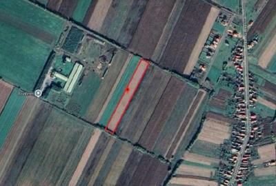 Teren de 4350 mp, în Botiz - 1