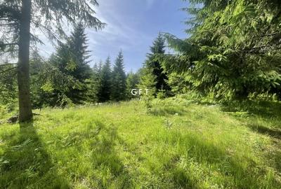 Teren de vanzare Colibita ! EXCLUSIVITATE! - 2