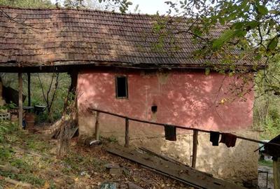 Teren de 11650 mp, în Valea Borcutului - 2