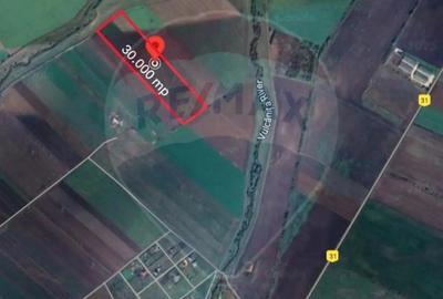 Teren de 30000 mp, în Hălchiu - 4