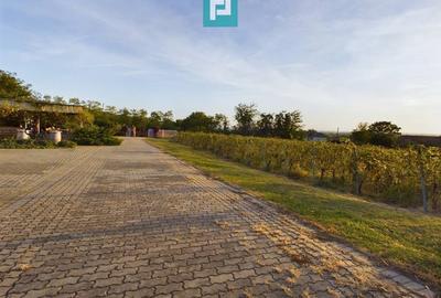 Casă individuală cu 6 camere cu Canalizare în Miniș - 30