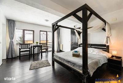 Spațiu comercial, de 500 mp, în Moieciu - 16