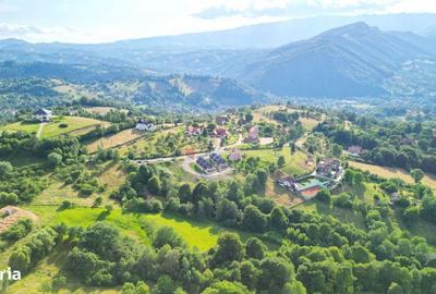 Spațiu comercial, în Sohodol - 12