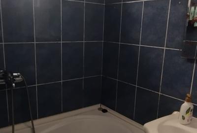 Apartament cu 2 camere semidecomandat, mobilat în Podu Roș - 3