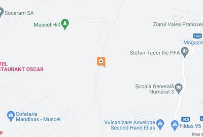 Teren Campina varful Muscel - 1