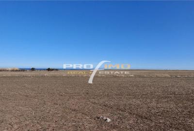 Teren 1600 mp. la cc.1km.de Mare - Eforie Sud-Castelul de Ap - 1