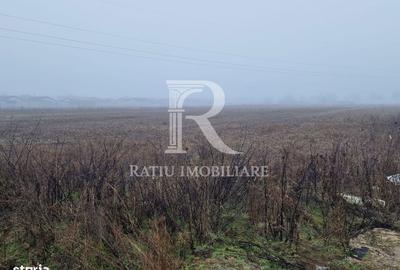 Spațiu comercial, în Sântandrei - 3