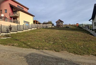 Vand teren in Chinteni - 6