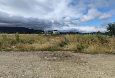 Teren intravilan, 6000mp, Ghimbav - 6