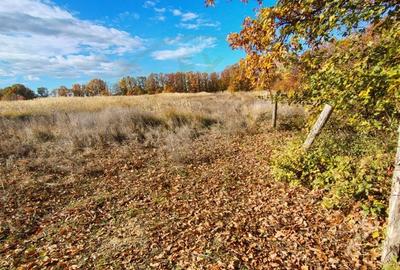 Terenuri intrevilane Comuna Mosoaia - 2