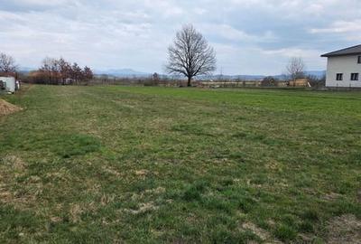 Teren de 2000 mp, în Coltău - 4