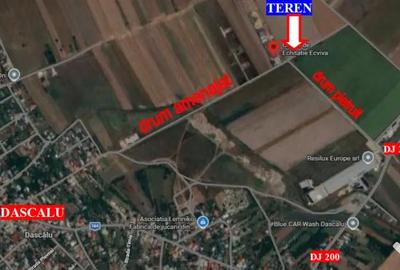 Teren de 10000 mp, în Dascălu - 8