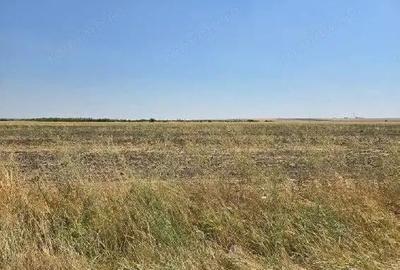 Teren extravilan Smardioasa, cota 1/6, ID: R2688427 - 7