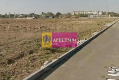 OCAZIE!!! Teren 5000 mp de vanzare in Alexandria - TR - 12