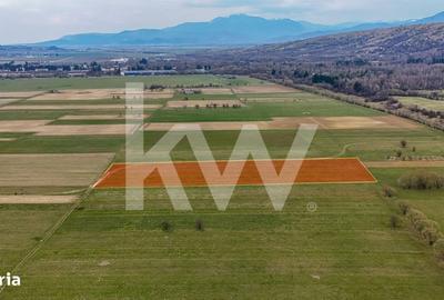 Teren de 8557 mp, în Plaiul Foii - 10