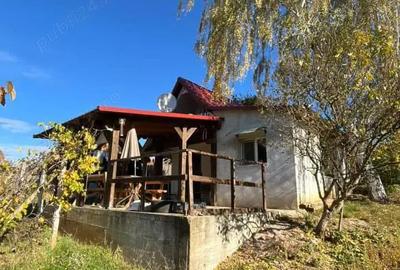 Casă cu 2 camere cu Teren 1100 Mp în Biharia - 7