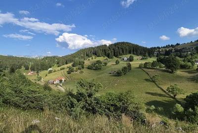 Teren de 6300 mp, în Fundata - 4