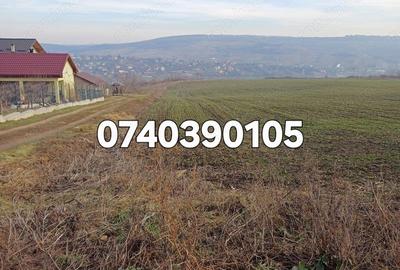 Teren 1950 mp Sorogari - 2