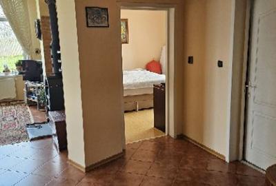 Ciopani vila 5 camere teren 4000 mp - 17