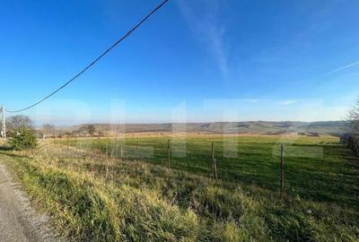 Teren de 13000 mp, în Central