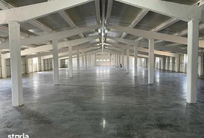 Spațiu comercial, de 120 mp, în Sântandrei - 2