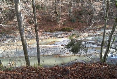 Vand teren in Brates, Neamt, cu iesire la raul Tarcau - 3