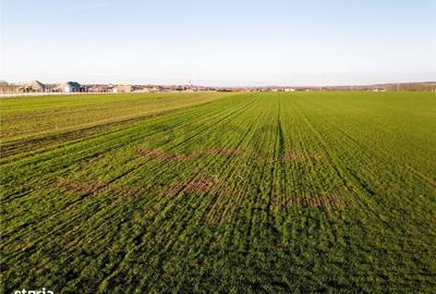 Spațiu comercial, în Biharia - 6