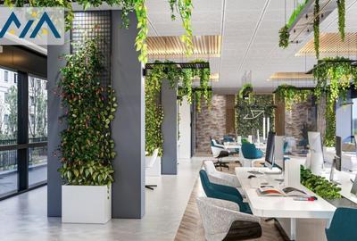 Spatiu comercial | Birouri | Clinica | Cluj Napoca | Zorilo - 6